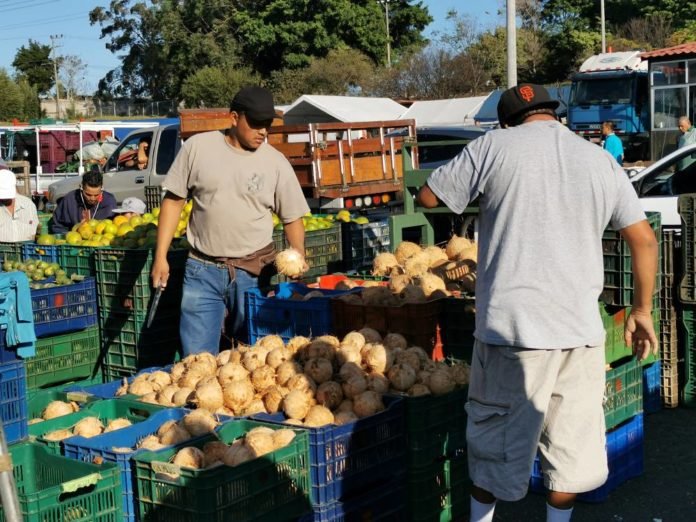 Puesto de alimentos al aire libre; imagen de archivo, ajena a Lollapalooza 2027