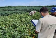 El RENATRE lanzó una capacitación virtual sobre uso seguro del tractor y cuidado de la salud