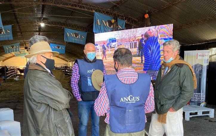 La 77º Exposición Ganadera de la Sociedad Rural de Federal reunió lo mejor de la genética Angus de Entre Ríos, en una jura en la que participaron 19 hembras y 25 machos puros de pedigree y 14 hembras y 24 machos Puros Controlados.