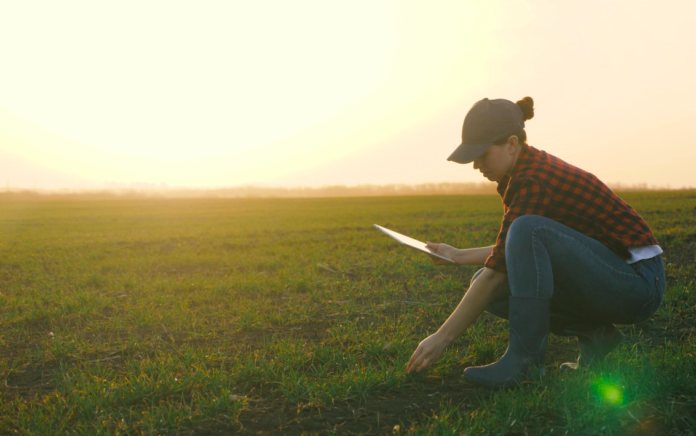 Captura de pantalla 2021-10-14 a la(s) 15.00.27