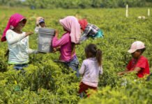 El RENATRE impulsó una agenda federal de concientización por el Día Mundial contra el Trabajo Infantil