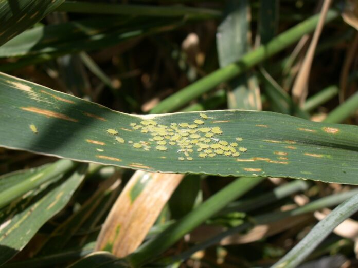 557552bb5d0b5a4731cea161bc80289664c8f74b3d0b3d52950f6ba220db2102