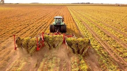 En plena etapa de arrancado y cosecha alertan sobre la grave faltante de gasoil y las severas restricciones a la circulación por los cortes de ruta. Desde el campo a la industria, padecen el freno total. Gran preocupación y crítica situación.