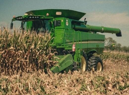 62e81568f83242c86bd8ff1f