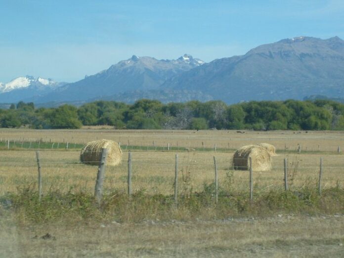 ¿Por qué la Patagonia teme perder su mayor tesoro por una medida del Gobierno?