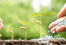 Asegurar insumos antes que mirar el dólar: la definición que marca la nueva campaña agrícola Insumos agropecuarios.