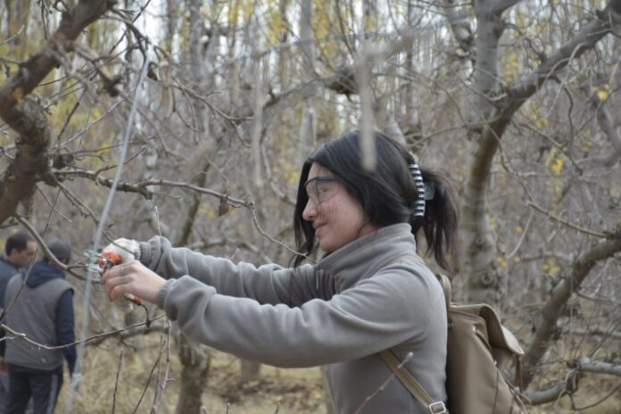 WhatsApp-Image-2023-07-07-at-15.07.15