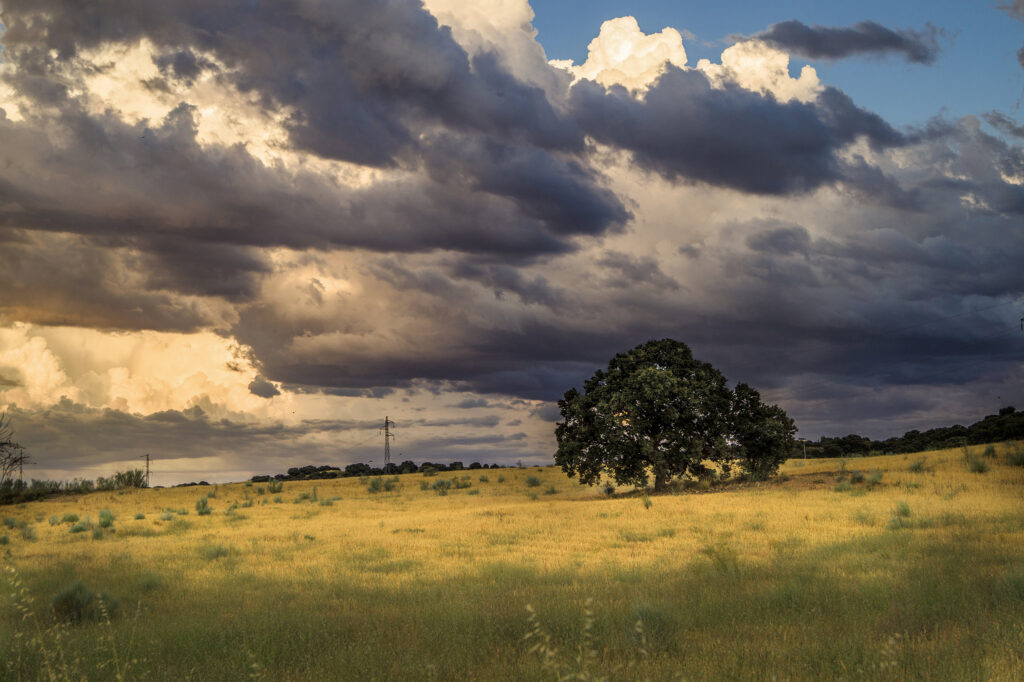 Clima: la Niña y el Niño afectan al sector productivo.