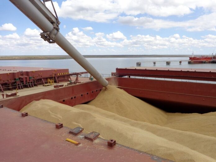 comercializacion trigo