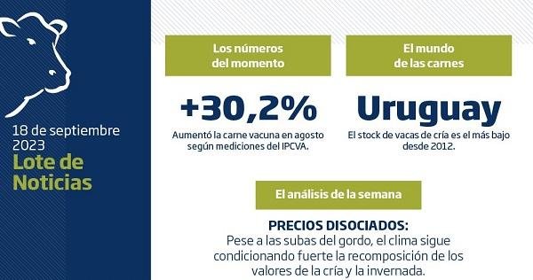 Tras conocerse el dato de inflación de agosto, la sucesión de placas mostrando el aumento que acumula el kilo de asado no tardaron en viralizarse. Sin embargo no dejan de reflejar una realidad parcializada de lo que vive actualmente el sector.