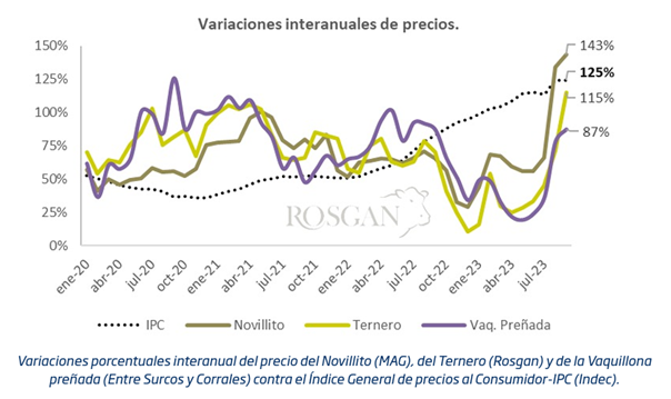 Tras conocerse el dato de inflación de agosto, la sucesión de placas mostrando el aumento que acumula el kilo de asado no tardaron en viralizarse. Sin embargo no dejan de reflejar una realidad parcializada de lo que vive actualmente el sector.