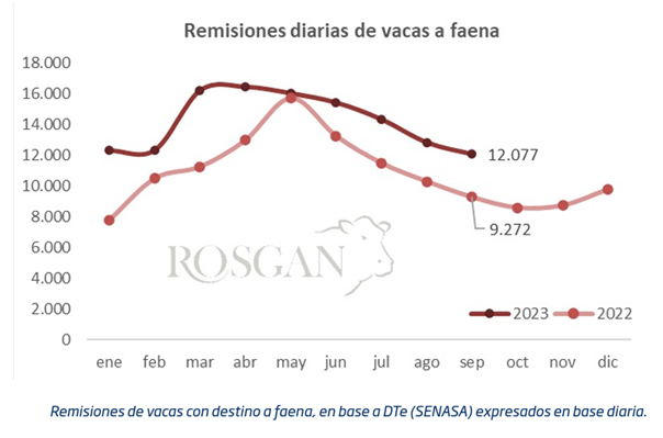 Tras conocerse el dato de inflación de agosto, la sucesión de placas mostrando el aumento que acumula el kilo de asado no tardaron en viralizarse. Sin embargo no dejan de reflejar una realidad parcializada de lo que vive actualmente el sector.