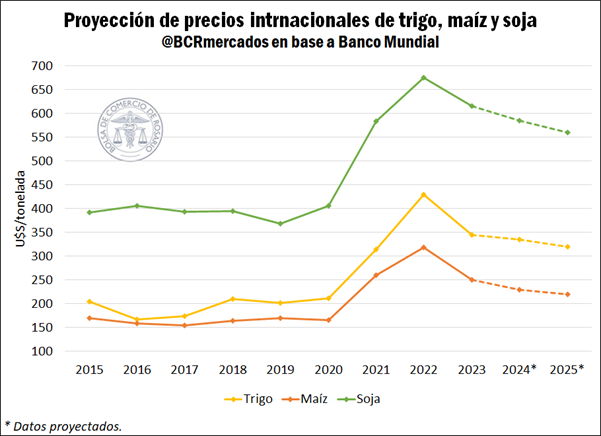 Productos de proyección internacional 