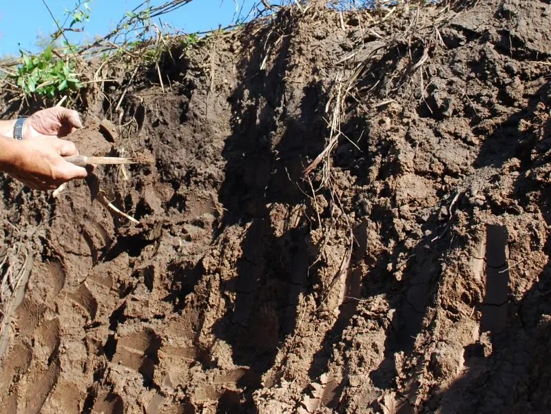Las abundantes precipitaciones registradas en gran parte del país permitieron una recarga de las reservas de agua en el suelo y se presentan como una oportunidad para el sector agropecuario.