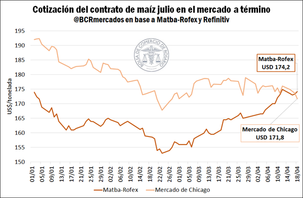 La reducción de la producción del cereal a causa de la chicharrita recorta las exportaciones, que marcarían un descenso interanual en dólares. La preocupación por los menores suministros comienza a plasmarse en el mercado a término local.