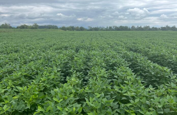 64da25f2-6e1d-5c12-a0aa-7bbee69508d9