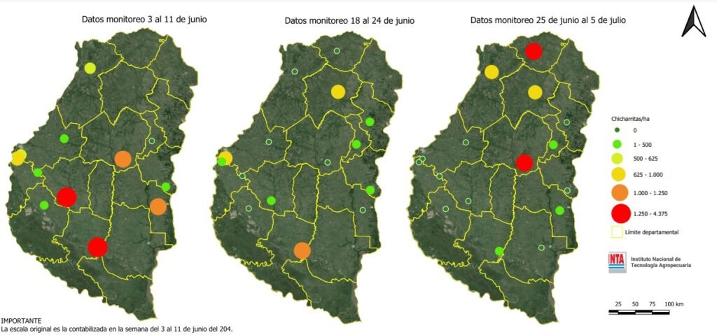 En este tercer mapa se observa que, en seis de los sitios monitoreados, la densidad poblacional de chicharritas del maíz disminuyó, mientras que en solo tres de ellos dicha variable se incrementó, aunque con valores inferiores a los registrados en el primer mapa publicado.