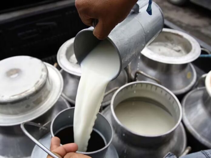 lacteos Las ventas de lácteos en Argentina crecieron 15% en los primeros meses de 2025. El consumo se concentra en productos básicos y aún está lejos del promedio histórico. Contexto, datos y proyecciones.