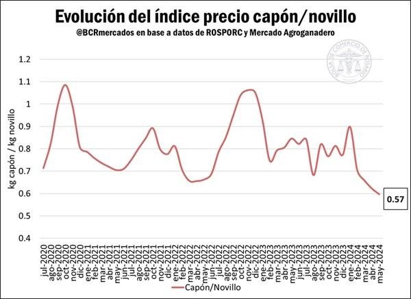 Argentina más que duplicó su producción de carne porcina en los últimos 10 años y la multiplicó por 5 en los últimos 20 años.