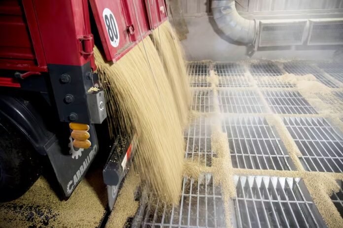 La eliminación de las retenciones permitiría liberar el potencial productivo del agro argentino