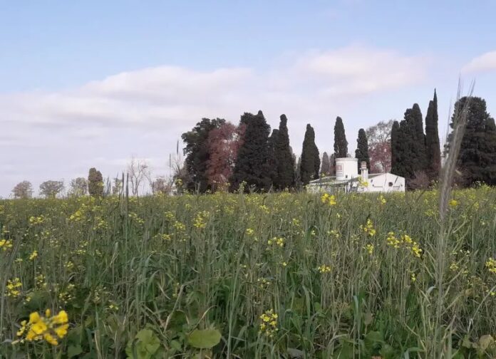 Ganadería Regenerativa