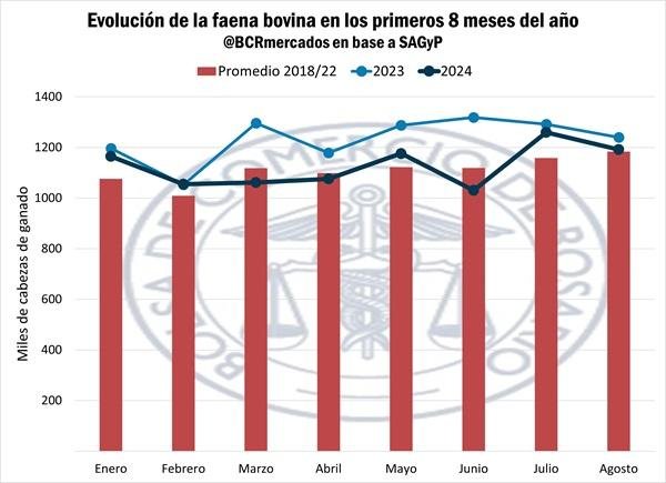 En los primeros 8 meses del año, la faena avanza a un gran ritmo en comparación con años anteriores.