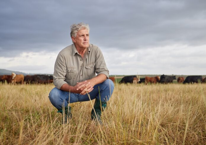 Tras meses de incertidumbre, el principal rector del clima global, El Niño, permanecerá neutral o con una baja chance de un episodio La Niña débil de corta duración.