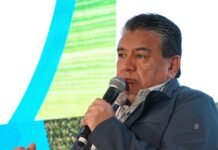 Balance de la temporada de cosecha en Neuquén y Río Negro: los desafíos de la próxima campaña Jose Voytenco