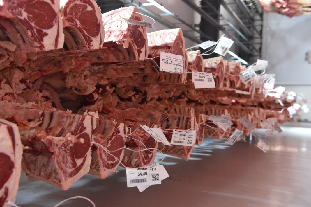 Argentina abrió la exportación a Ecuador de cítricos dulces, limón y carne  bovina con hueso