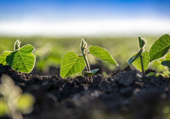 El campo reclama: Córdoba y Santa Fe piden eliminar las retenciones al agro