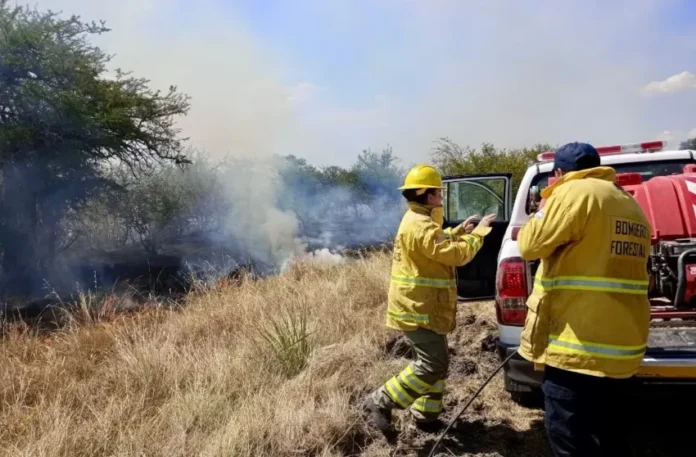 Incendios en Corrientes y Entre Ríos arrasaron hectáreas agropecuarias y afectaron la biodiversidad