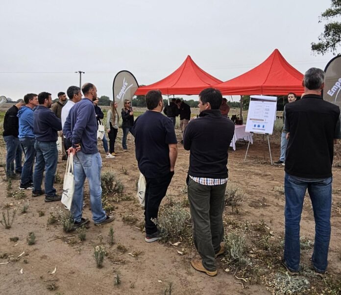 Sumitomo Chemical realizó la Gira de Resultados del primer año comercial de su herbicida Empera®, formulado en base a la molécula Rapidicil® (Epyrifenacil). Los ensayos mostraron su velocidad para frenar a malezas difíciles como Amaranthus