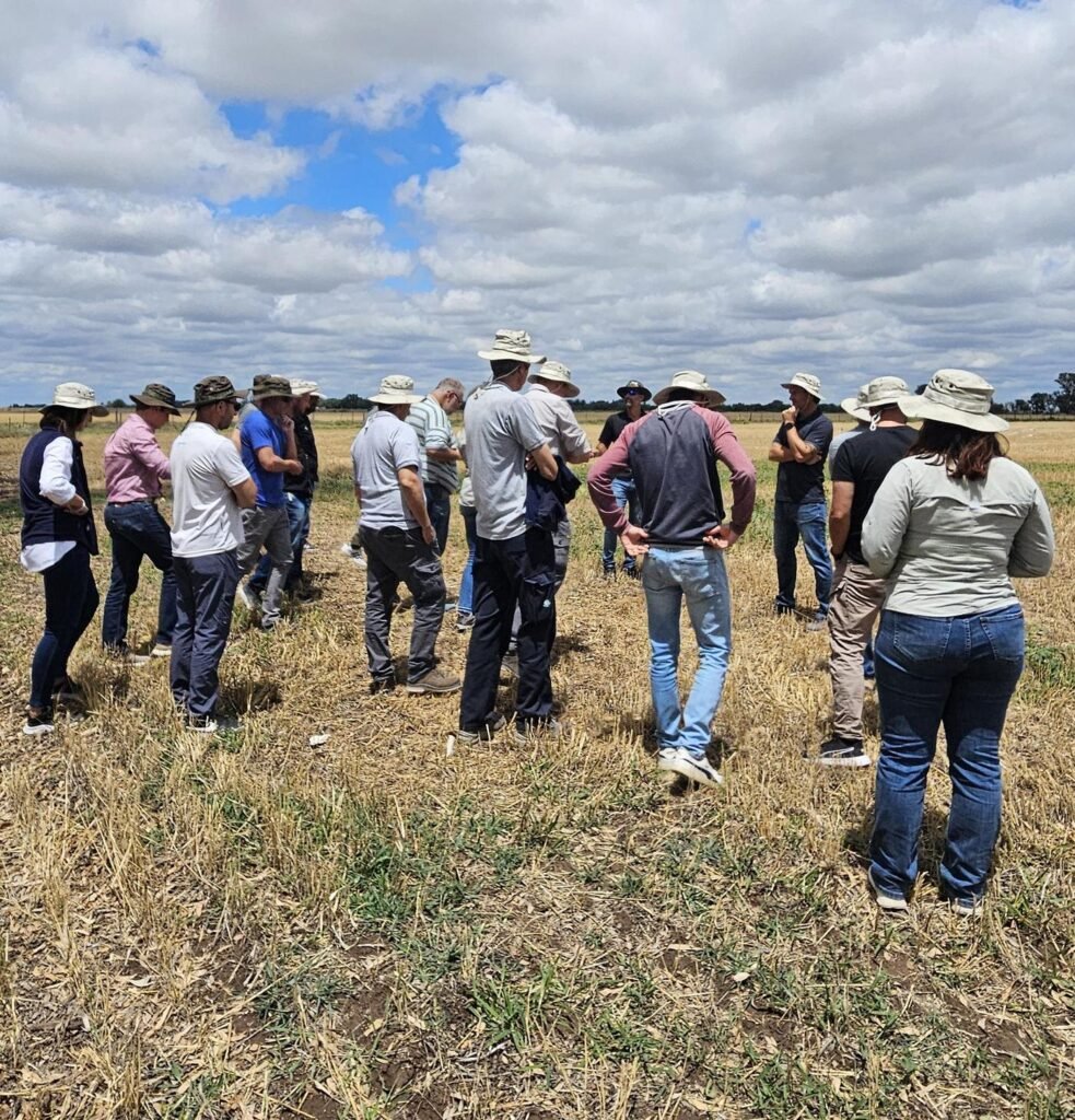 Sumitomo Chemical realizó la Gira de Resultados del primer año comercial de su herbicida Empera®, formulado en base a la molécula Rapidicil® (Epyrifenacil). Los ensayos mostraron su velocidad para frenar a malezas difíciles como Amaranthus