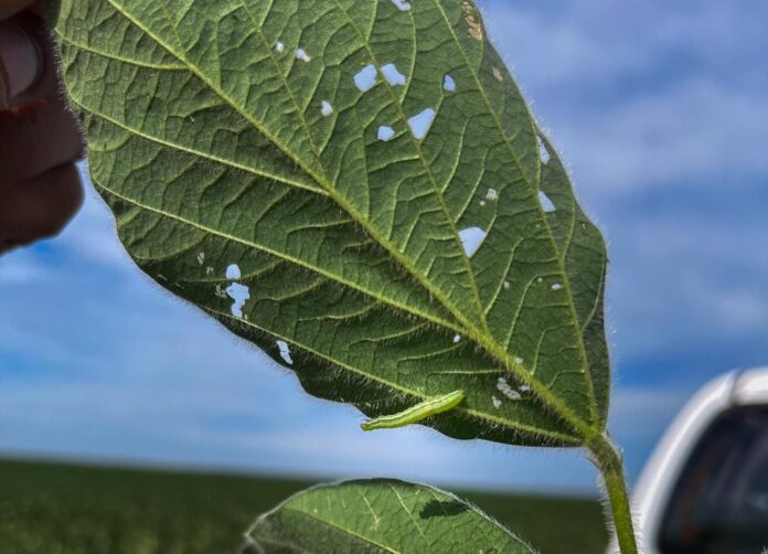 67cf66c23d1a5bf3626955fa