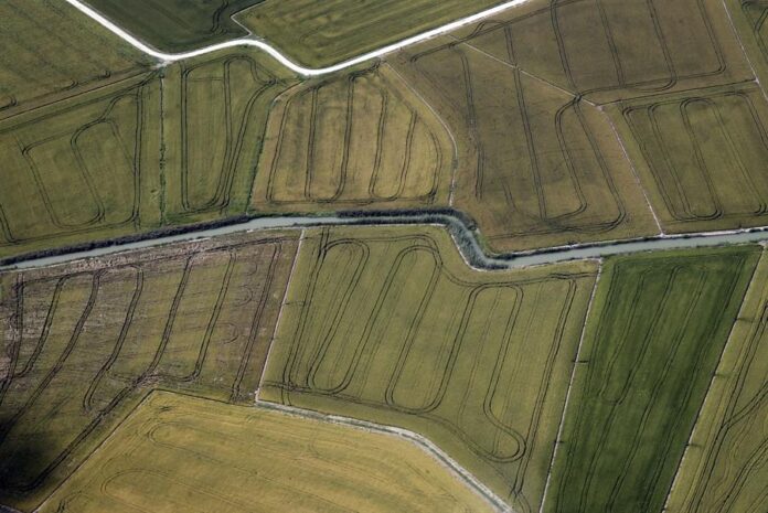 Campos de arroz en la albufera de Valencia (España). Efeagro/Juan Carlos Cárdenas