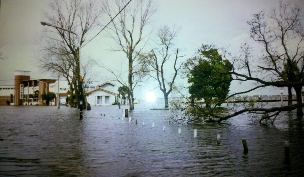 La paralización de una obra esencial en el Río Salado podría agravar las inundaciones en Buenos Aires. Descubrí cómo esta situación impacta a la región agropecuaria.
