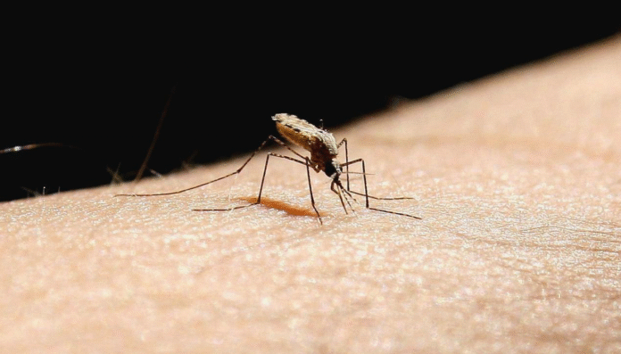Una nueva solución en la lucha global contra la malaria la OMS precalifica tecnología de Syngenta para control del mosquito transmisor