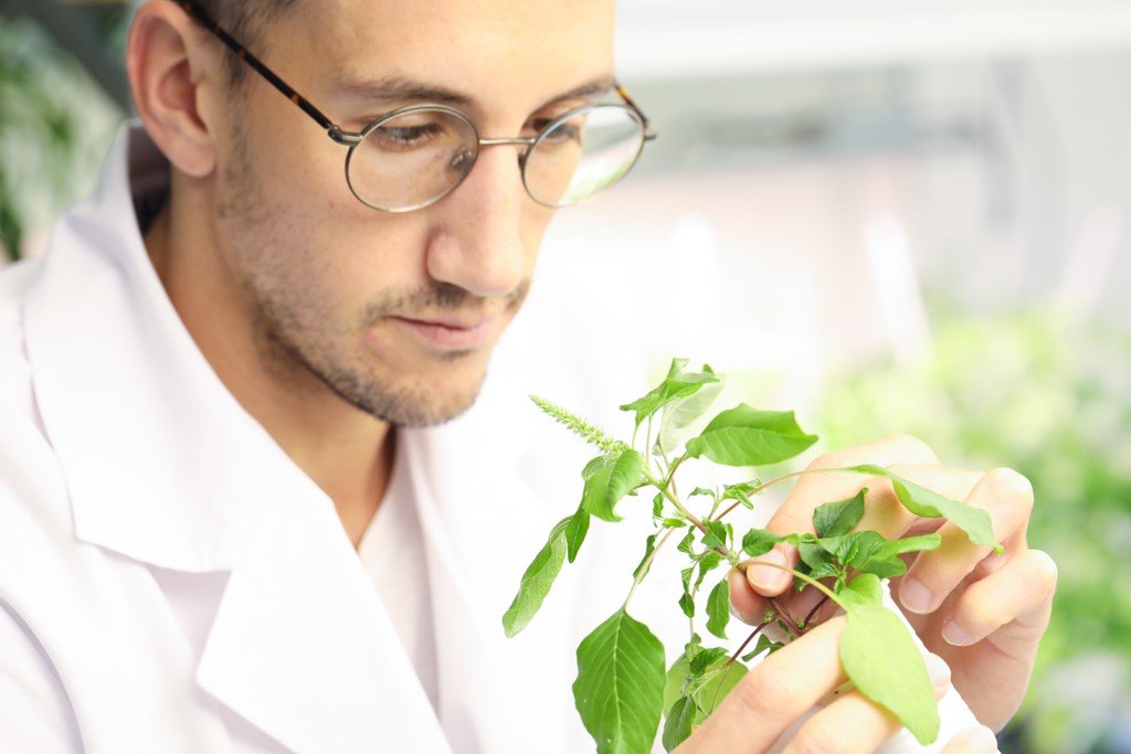 Esta alianza marca un nuevo hito en el ecosistema de innovación científica de Latinoamérica, y se alinea con la visión compartida de transformar industrias clave a través del conocimiento aplicado.