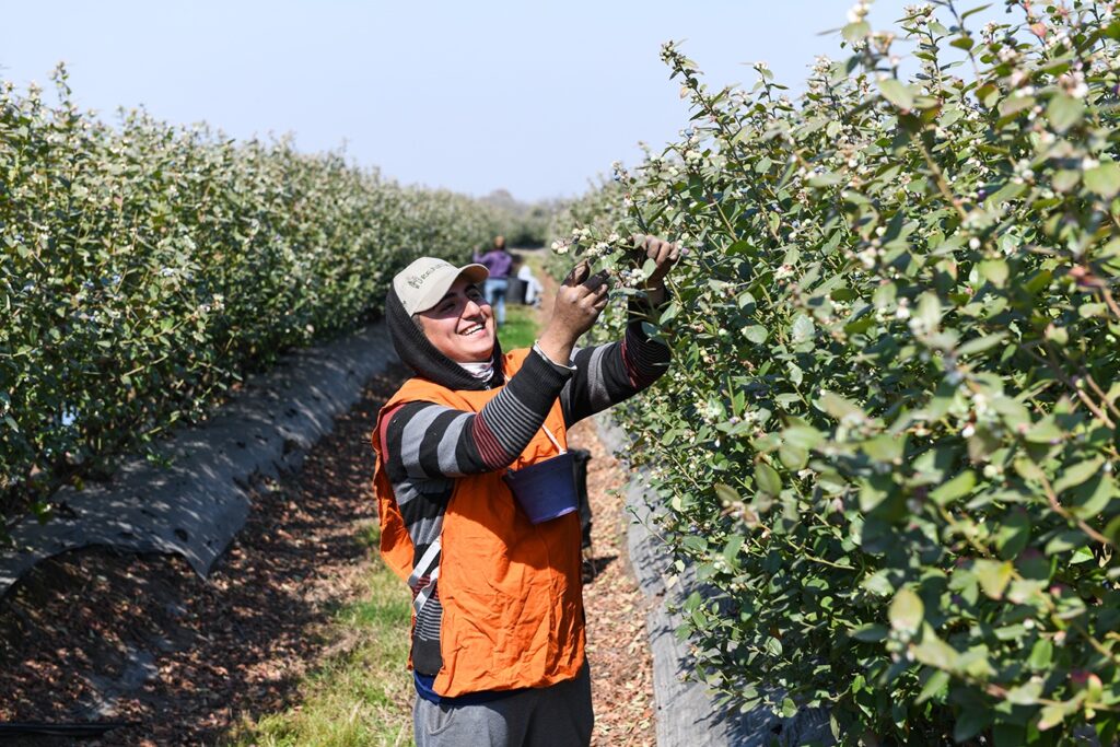 El RENATRE aumenta la prestación por desempleo a $260.000 y consolida una recuperación del poder adquisitivo