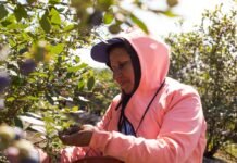 El RENATRE capacitó a trabajadores rurales en la elaboración segura de conservas caseras en Mendoza El RENATRE aumenta la prestación por desempleo a $260.000 y consolida una recuperación del poder adquisitivo