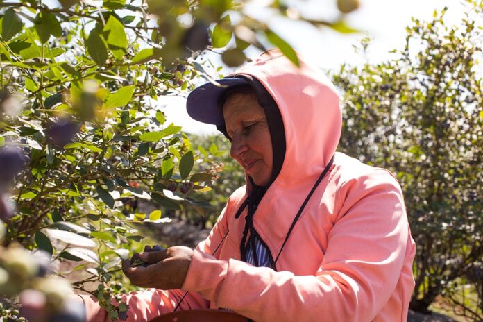 El RENATRE aumenta la prestación por desempleo a $260.000 y consolida una recuperación del poder adquisitivo