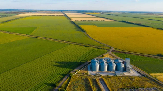 Venta de campos: el mercado rural se dinamiza tras la salida del cepo