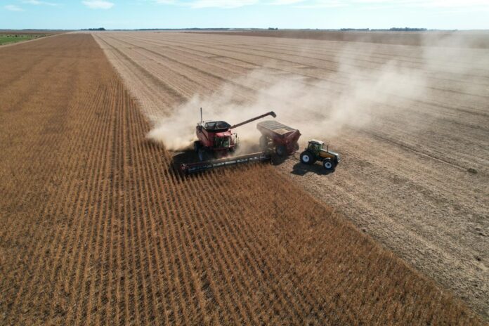 El mercado de soja enfrenta una tormenta perfecta: baja por biocombustibles, ventas forzadas en Argentina y señales climáticas clave desde Estados Unidos