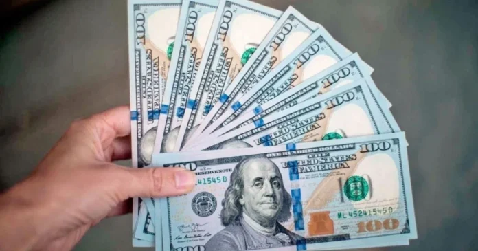 dolares_1_crop1712142673171.jpg_1595070056.jpg La suba del dólar y la baja de retenciones reactivan al agro argentino. Soja y maíz se encarecen en pesos y podrían liberar US$9.500 millones en exportaciones.