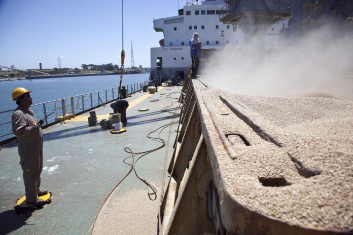 Buque granelero cargando harina de soja argentina en el puerto de Rosario, lista para su primer envío a China