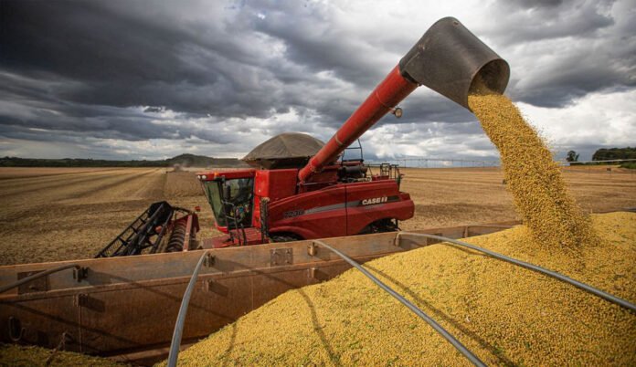 Brasil proyecta un crecimiento del 27% en la producción de granos para 2034