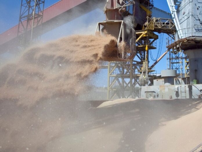 granos-soja Retraso en la cosecha de soja afecta exportaciones del agro.