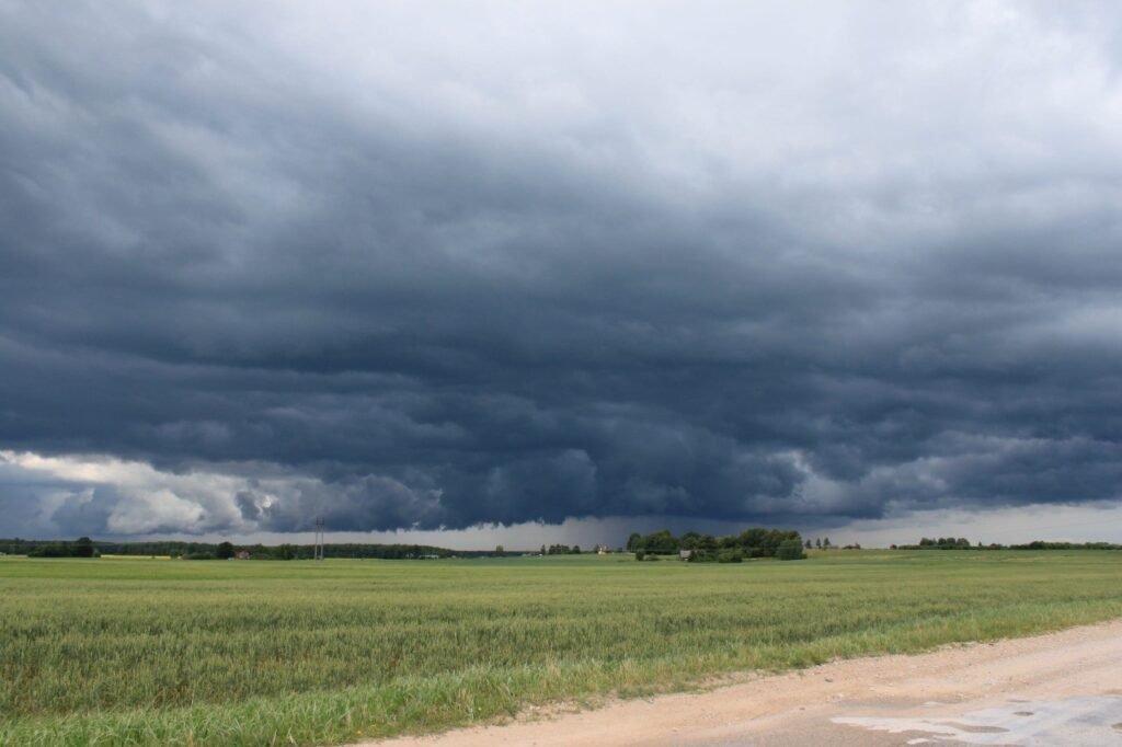 Las lluvias en el campo durante mayo de 2025 mejoran las perspectivas agrícolas en Argentina, beneficiando a cultivos como la soja y el trigo.​