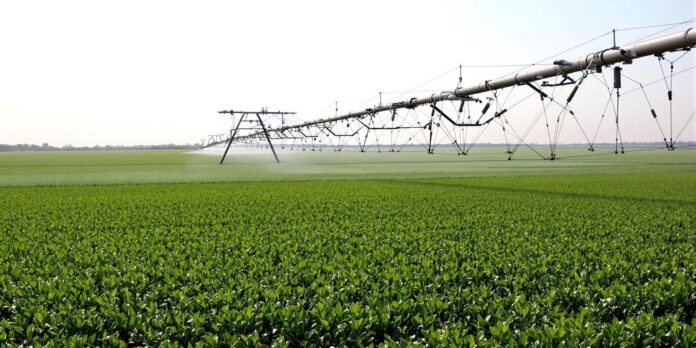 Campos verdes con sistemas de riego por pivote y goteo.