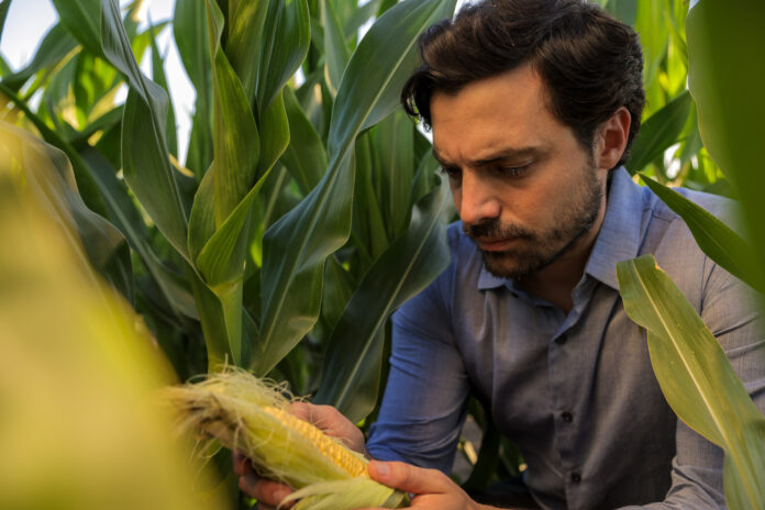Syngenta presenta su innovadora campaña “Las otras plagas” en Aapresid 2025, junto a soluciones biológicas, manejo de gramíneas y acceso a datos de carbono del suelo.